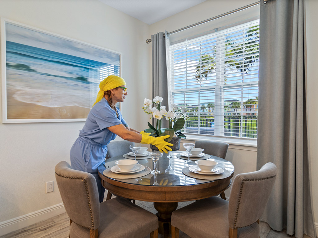 Professional cleaning work example 8